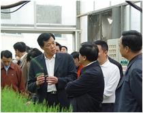原厦门市市长刘赐贵视察如意情集团