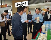 国务院副总理汪洋视察如意情集团