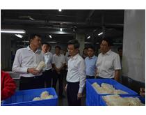 原厦门市市长庄稼汉考察如意情集团