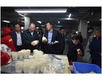 厦门市副市长张毅恭考察如意情集团